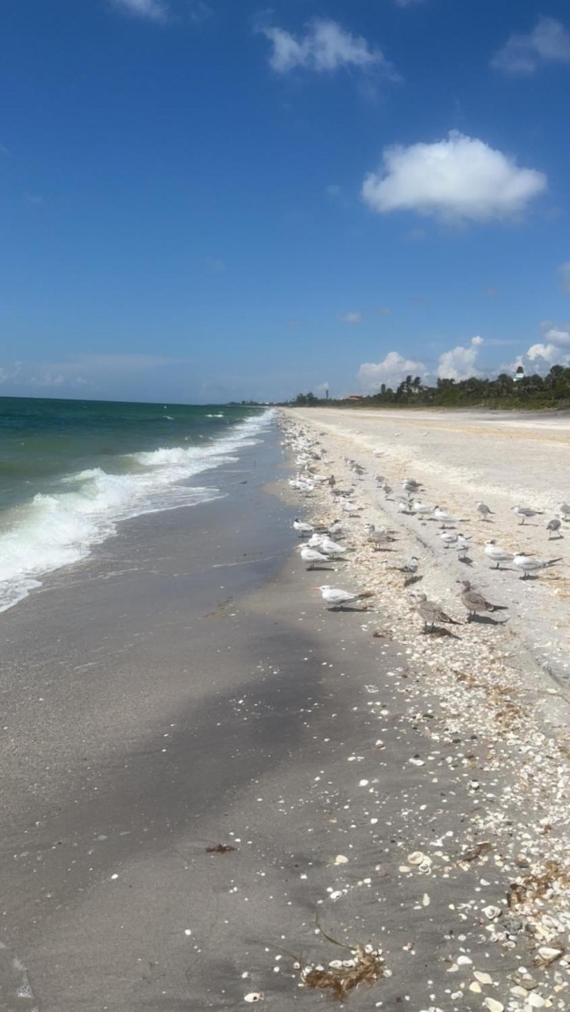 Pearl Beach Inn Englewood Luaran gambar